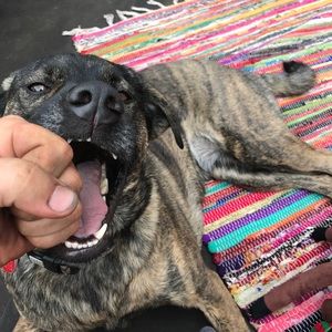 Meet your Posher, Johnathan